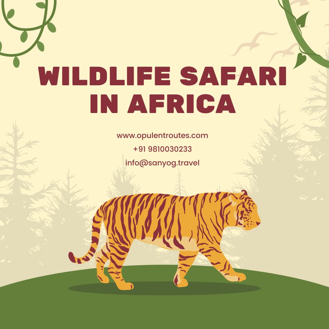 wildlife safari in africa