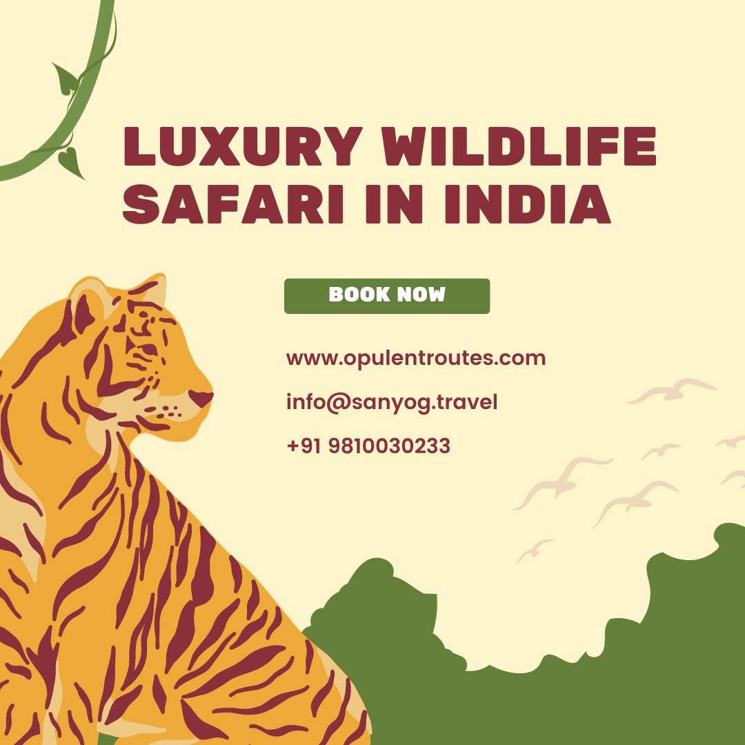 luxury wildlife safari in india