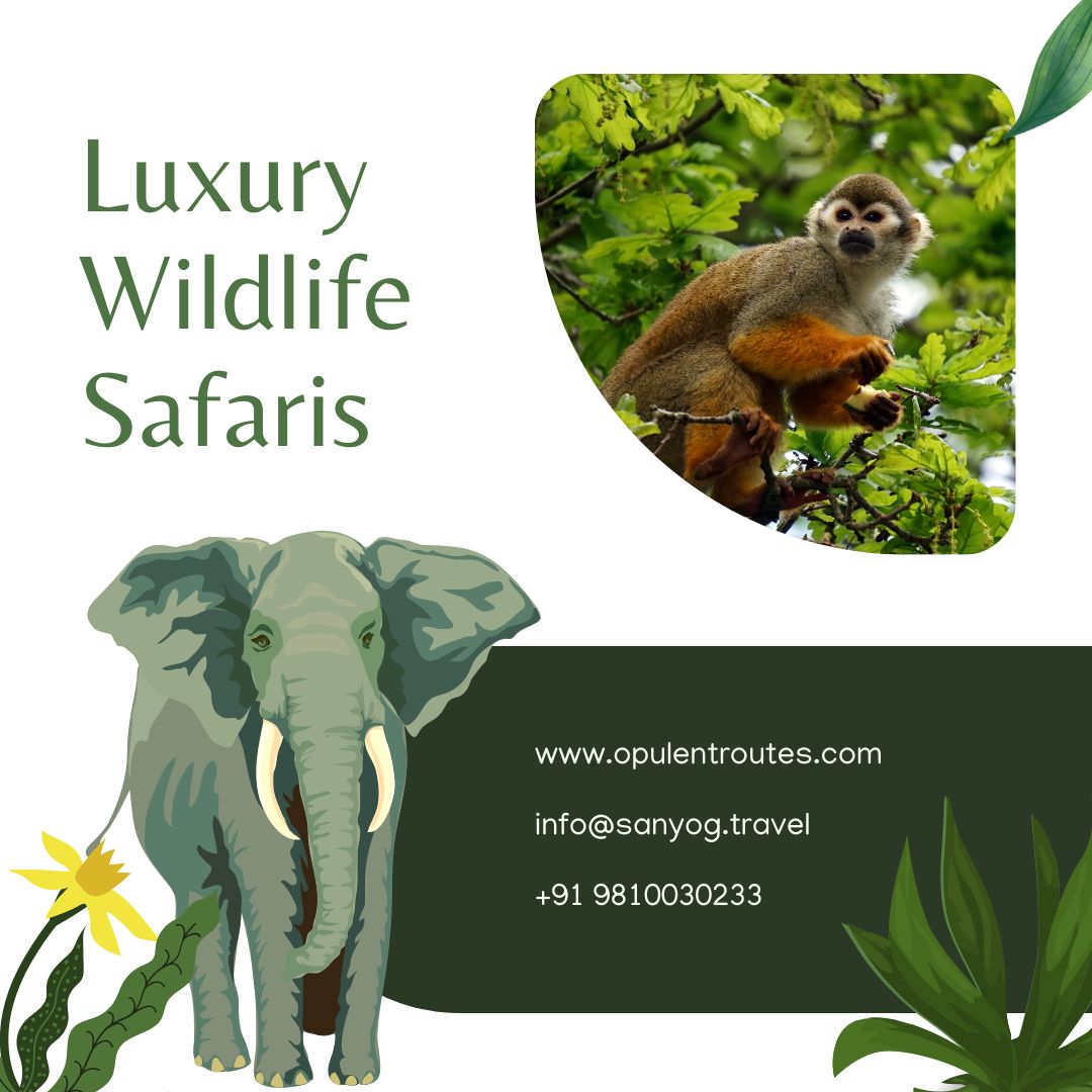 luxury wildlife safaris