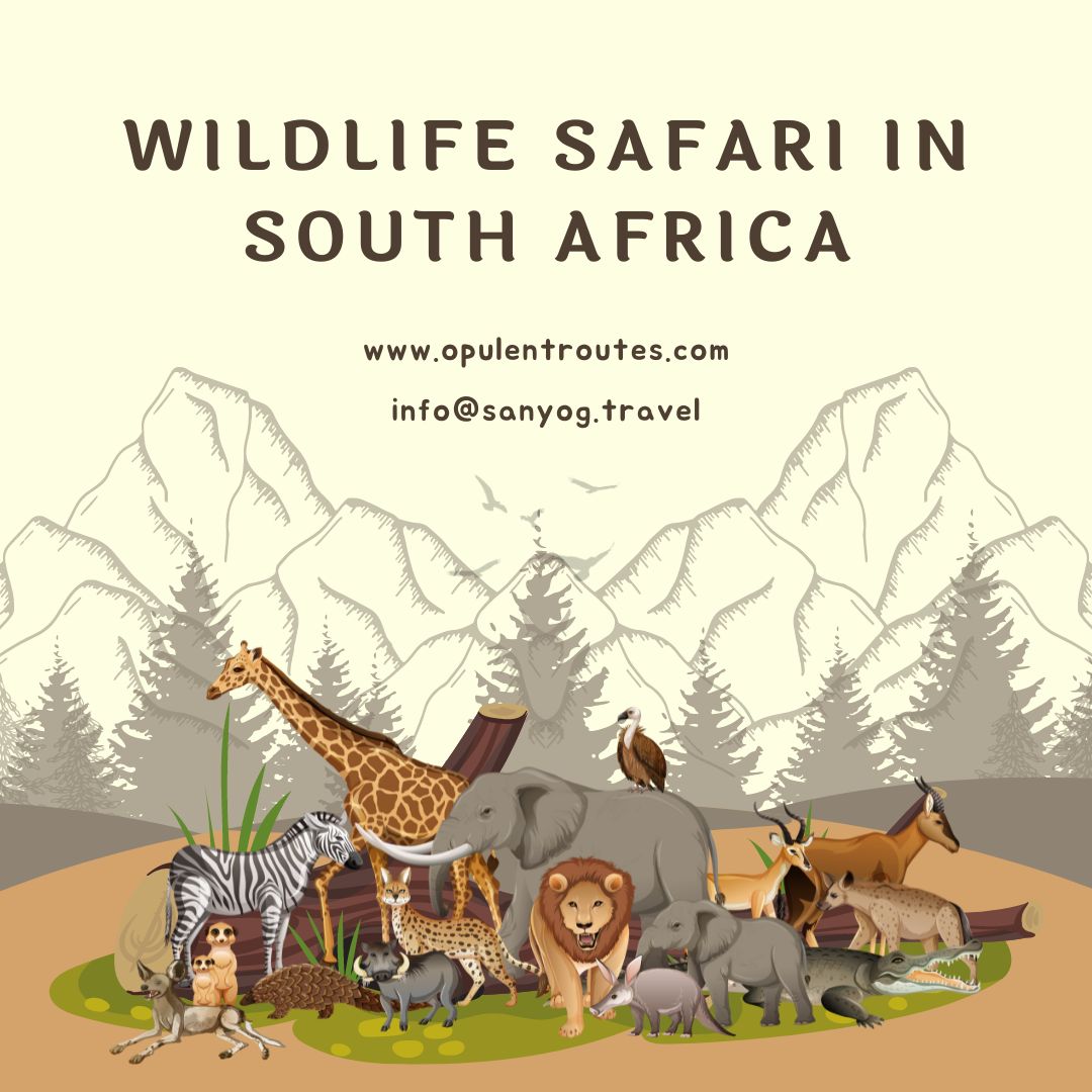 wildlife safari in South Africa